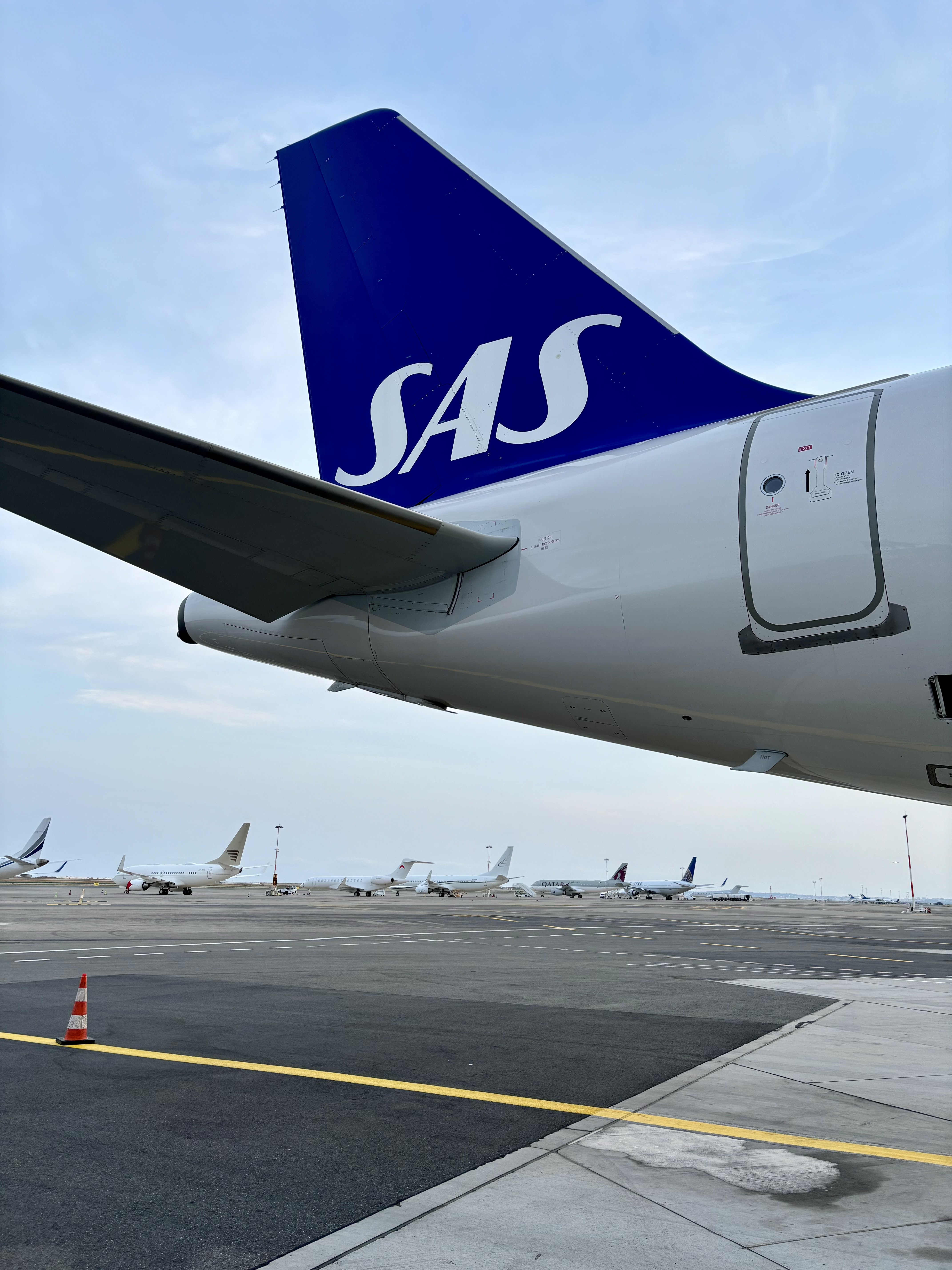 SAS-fena